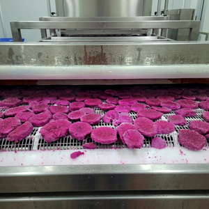 Fruits du Dragon Surgelés IQF de Haute Qualité, en Cubes Sucrés, en Tranches, Demi-Coupés, Sous Vide, Fournisseur d'Exportation de Fruits Tropicaux Premium - Product Image 1