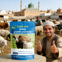 Additif alimentaire pour l'engraissement rapide du bétail, des moutons et des ânes, pour une croissance accélérée, un gain de poids élevé par jour et un FCR faible