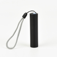 TAIKOO Mini lampe de poche UV portable avec lampe à fonction de détection fluorescente
