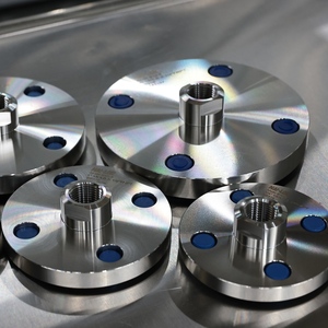 Adaptateur à bride NAI LOK Hastelloy C276 6000 PSI, résistant aux acides haute pression, bride vers NPT BSP pour pipeline chimique - Product Image 6
