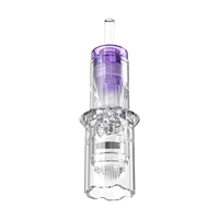 Charme Princesse Microneedling Pen Size Cartouches d'aiguilles nano en acier inoxydable pour le maquillage permanent et l'application des sourcils