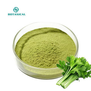Органический порошок из сока сельдерея, экстракт апигенина пищевого качества, оптом - Product Image 1