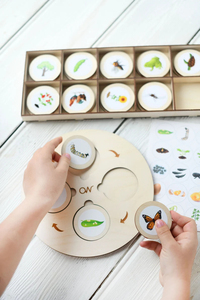 Quá trình phát triển kỳ diệu với vòng đời đặt đồ chơi và trò chơi giáo dục Montessori - Product Image 6