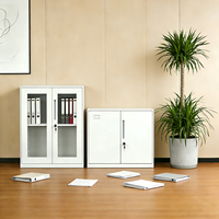 Armoire métallique à une porte peu encombrante, unité de rangement intérieure, armoire de rangement en acier à double porte, organisateur métallique verrouillable
