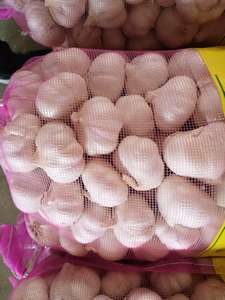 Aglio fresco nuovo raccolto normale bianco e puro bianco fornitura dalla fabbrica di aglio cina con aglio di alta qualità - Product Image 3