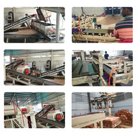 Ligne de production d'extrudeuse sous vide machine de formage automatique de briques d'argile en latérite creuse solide