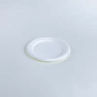 Meilleur prix fournisseur usine Logo personnalisé Assiettes de cuisine blanches Dîner de mariage Ensemble jetable Assiettes de vaisselle pour vente en gros