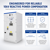 Banco de Condensadores Equipado con Reactor TBB 10kV 1800kvar para Cargas Armónicas en Plantas Mineras y de Cemento