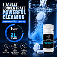Tablettes effervescentes concentrées Astree pour lave-glace, décontamination puissante, nettoyant pour vitres de voiture, OEM en vrac