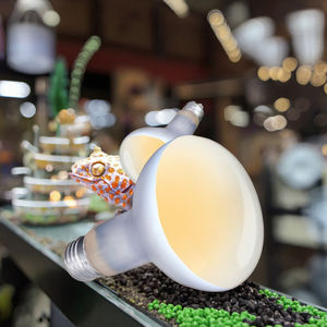 Lampada Fluorescente <span class=keywords><strong>UVB</strong></span> E27 a Lunga Durata per Animali Domestici, Riscaldatore <span class=keywords><strong>UVB</strong></span> con Vapore per Rettili, Anfibi e Tartarughe - Product Image 4