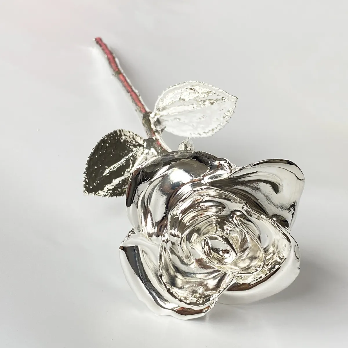 2021 New Product Natural Real Rose Dipped In Silver Preserved Rose With Gift Box