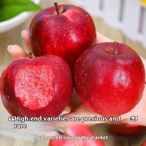 Xin Fashion Yunnan Authentisches rotes Herz rotes Fleisch Apfel Seltene saisonale frische Frucht für schwangere Frauen zum Senden von Liebe - Product Image 5