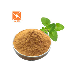 식품 등급 쐐기풀 잎 추출물 쐐기풀 뿌리 추출물 분말 쐐기풀 추출물 - Product Image 2