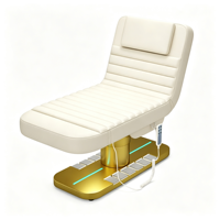 Fauteuil de Salon de Beauté RONJIA en Tissu Doré, Lit de Beauté Électrique, Table et Lit de Massage pour Extensions de Cils et Soins du Visage