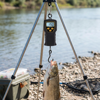 Balance de pêche électronique numérique étanche 50KG 10g avec écran LCD et barre transversale, OEM/ODM disponible