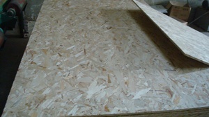 11mm 12mm 15mm 18mm Construcción barata Tablero <span class=keywords><strong>OSB</strong></span> y muebles Hoja <span class=keywords><strong>OSB</strong></span> <span class=keywords><strong>de</strong></span> Linyi China - Product Image 5