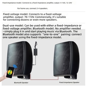 Altavoz de Audio de 4 Pulgadas para Conferencias y Supermercados, de Montaje en Pared, con Resistencia Constante/Voltaje Constante, para Radiodifusión Pública - Product Image 6
