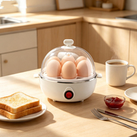 Mini cuiseur à œufs électrique portable automatique multifonction pour usage domestique