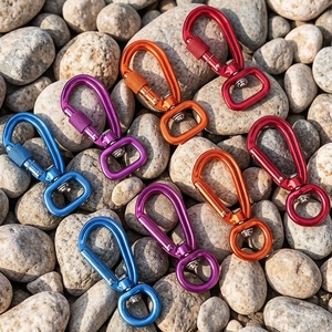 Laisse pour <span class=keywords><strong>chien</strong></span> Diamètre intérieur 10mm Anneau inférieur Petite taille 7075 Clip mousqueton pivotant - Product Image 1