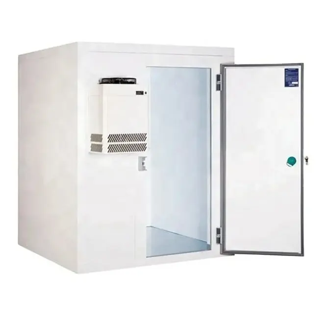 Chambres chambre froide chambre de stockage Froide congélateur chambres de compresseur conteneurs de réfrigérateur pour la viande