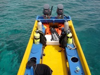 Bateau à voile en fibre de verre China Grandsea -950E de 9,6 m, blanc, pour plongée sous-marine, transport de passagers, avec moteur hors-bord et auvent, garantie 1 an