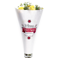 Manchons en papier kraft écologiques jetables pour plantes de Noël, pour l'agriculture et l'horticulture, avec impression flexo