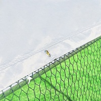 Cage de volaille d'exercice en plein air USA 6x3x2m, grand métal, stylo de maison de canard, poulailler de poule avec couvercle étanche