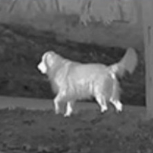 HD cao Powered hồng ngoại cầm tay một mắt sighting máy ảnh nhiệt cho săn bắn - Product Image 4