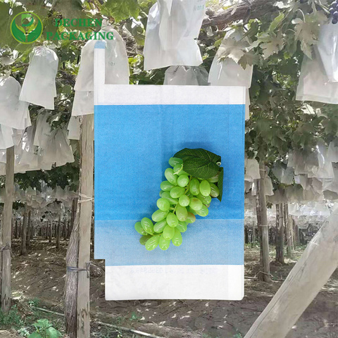 Mango Fruit Protection Bags Company for Mango Fruit Protection Bags Manufacturer - Professional &amp; Trusted
