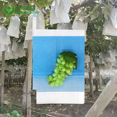 Mango Fruit Protection Bags Company for Mango Fruit Protection Bags Manufacturer - Professional & Trusted