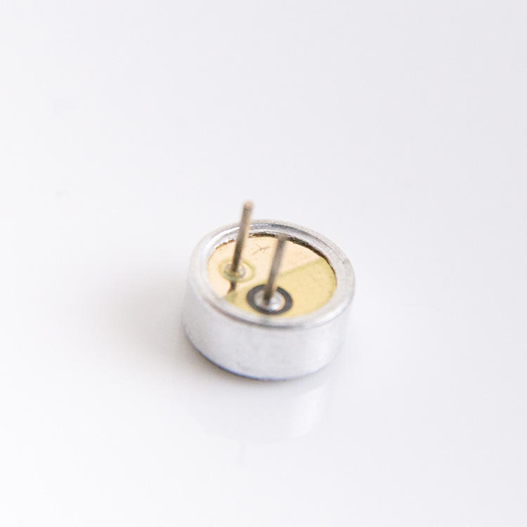 voice recording device