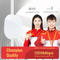 Punto de Acceso Inalámbrico para Exteriores, Puente Inalámbrico, Punto de Acceso de Alta Potencia de 5.8GHz