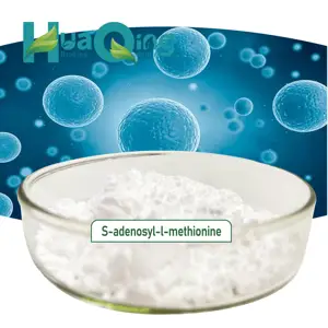 Suppléments nutritionnels S adénosyl L poudre de méthionine S-adénosyl-l-méthionine