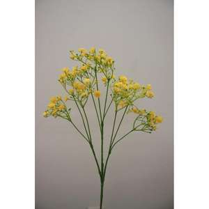 GYPSO REX 70CM YL - Product Image 1