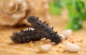 GMP Certified Nutrition Supplement Health <b>Sea</b> <b>Cucumber</b> Collagen Glucosamine Capsule - Product Image 4