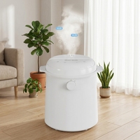 Nouveau produit : Mini humidificateur en acier inoxydable 304 de 3 L avec vapeur chaude et pot intérieur en acier inoxydable