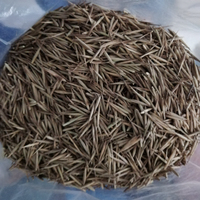 500 Gramos de Semillas de Bambú Moso Gigante (Phyllostachys Edulis) en Venta