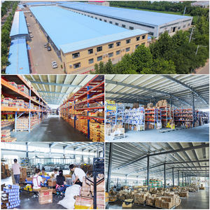 Alta temperatura 6200 6301 6302 6303 6304 6305 6306 6307 6309 2rs ZZ C3 rodamiento rígido de bolas para ventilador de techo de Motor - Product Image 5