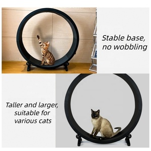 Cinta de Correr para Gatos USMILEPET, Equipo de Ejercicio Silencioso para Gatos, de PVC, Gran Venta - Product Image 3