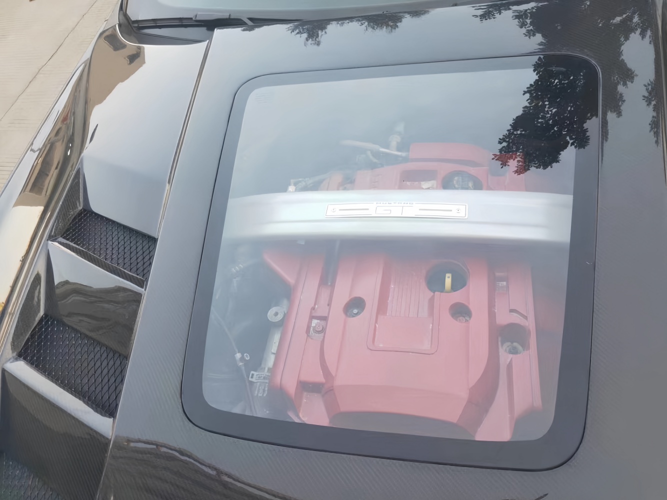 hood 2019 mustang carbon