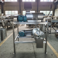 RVS 304 dubbeltraps fruitpulpermachine/fruitpulper voor tomaten/papaya