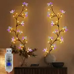 Lampe décorative LED en forme de cœur, motif feuille de vigne, papillon et fleur, avec télécommande à bouton, alimentation USB, IP55, pour extérieur