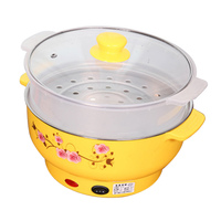 Marmite de revêtement anti-adhésif, bouilloire portable pour l'extérieur, Mini Pot électrique multifonctionnel de cuisson pour nouilles