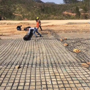 Fabrik preis Industrielle HDPE Uni axiale Geo gitter für zivile Stützmauer Straßenbau Park Schule Entwässerung garten Verwendung - Product Image 5