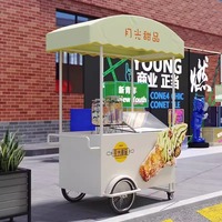 Chariot de vente ambulant compact pour desserts glacés, avec grande capacité de rangement et auvent résistant aux intempéries, idéal pour parcs, plages et activités commerciales.