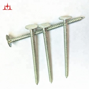 Clous de toiture en acier électrogalvanisé à tête plate et tige lisse, vente directe d'usine en Chine, certifiés ISO9001 - Product Image 2