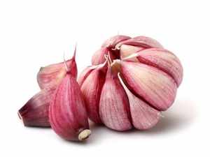 กระเทียมขาวสด ออร์แกนิค ผลผลิตใหม่ รสเผ็ดอ่อน ปลูกในพื้นที่ คุณภาพสูง อุดมด้วยสารอาหาร บรรจุภัณฑ์แช่เย็น - Product Image 5