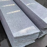 Capuchons de piliers en granit gris G603 pour la conception graphique de villas
