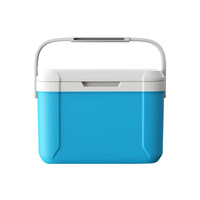5L 5qt Logo personnalisé isolé Camping en plein air Mini glacière glace Portable réfrigérateur pique-nique avec poignée glacière