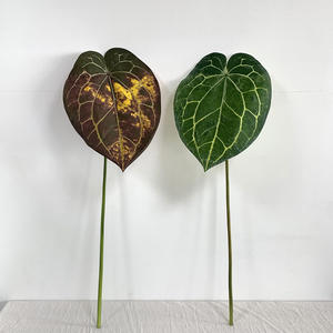 LO-535 بالجملة، ورقة أنثوريوم اصطناعية كبيرة بطول 81 سم، بلمسة حقيقية، نبات استوائي للديكور المنزلي وتزيين حفلات الزفاف - Product Image 4